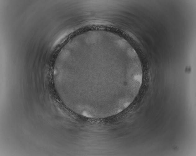 X0000111150775200907211202