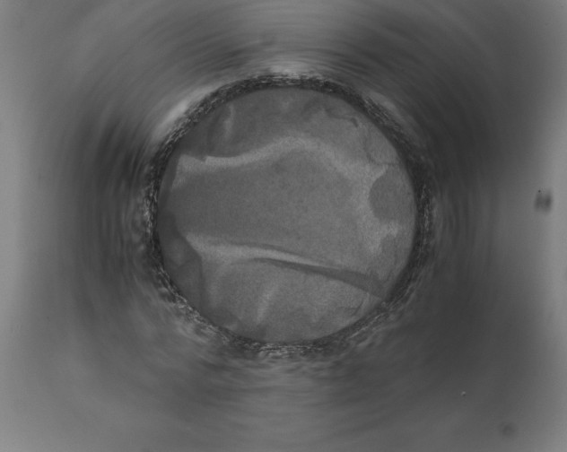X0000111150776200907211202