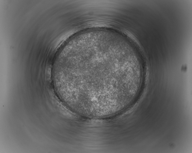 X0000111150777200907211202