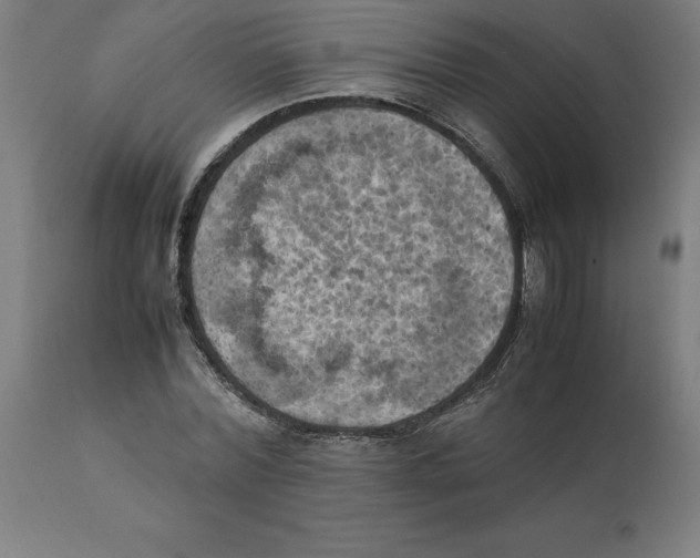 X0000111150780200907211202