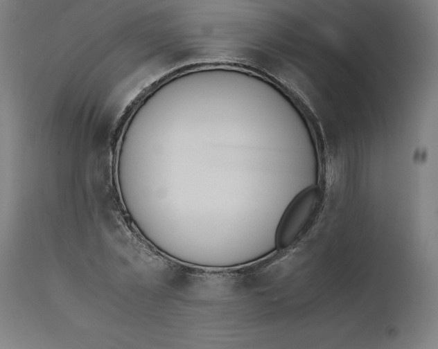 X0000111150781200907211202