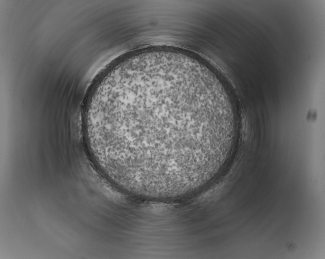 X0000111150782200907211202