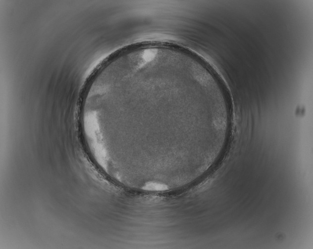 X0000111150783200907211202