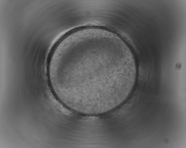 X0000111150784200907211202
