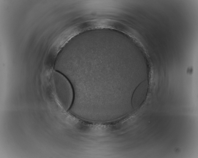 X0000111150785200907211202