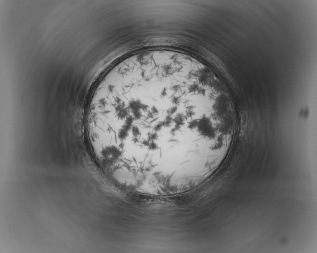 X0000111150786200907211202