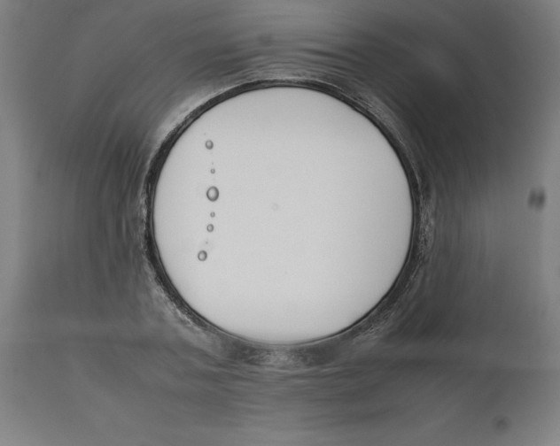 X0000111150787200907211202
