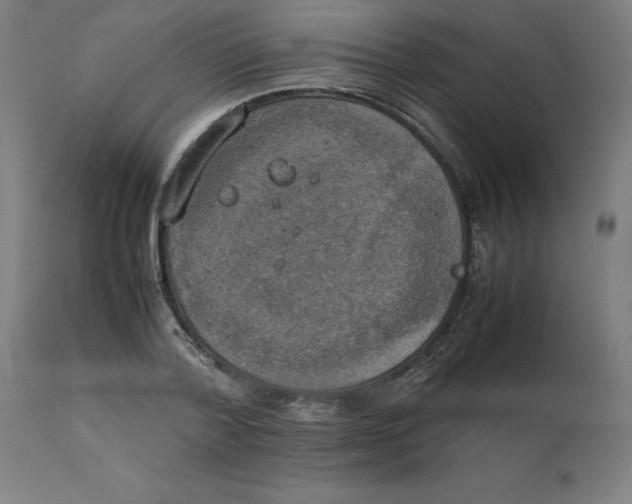 X0000111150788200907211202
