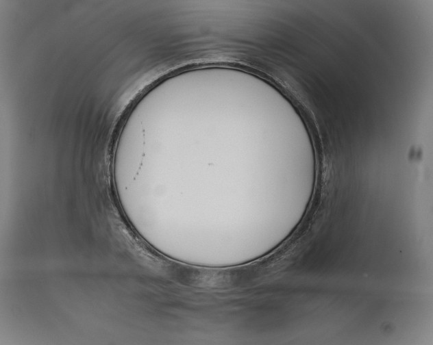 X0000111150789200907211202