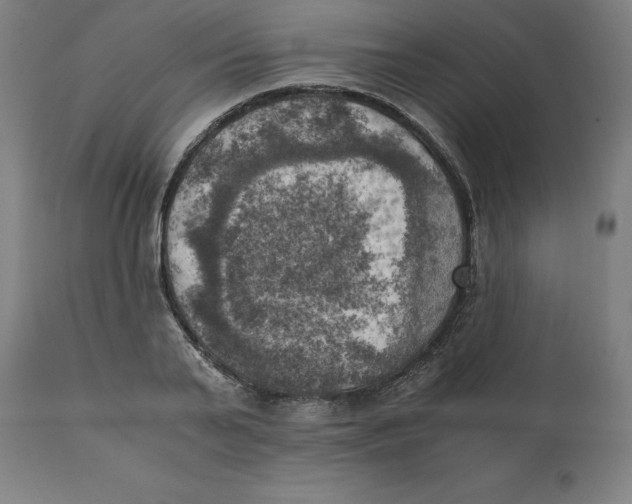 X0000111150791200907211202