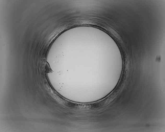 X0000111150793200907211202