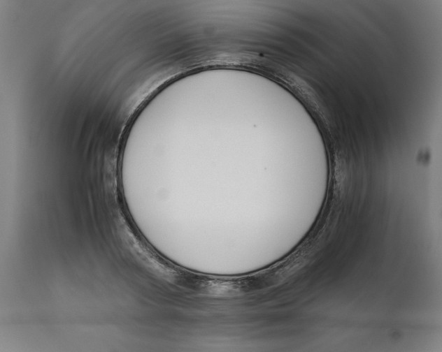 X0000111150794200907211202