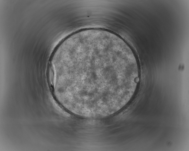 X0000111150797200907211202