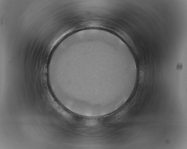 X0000111150798200907211202