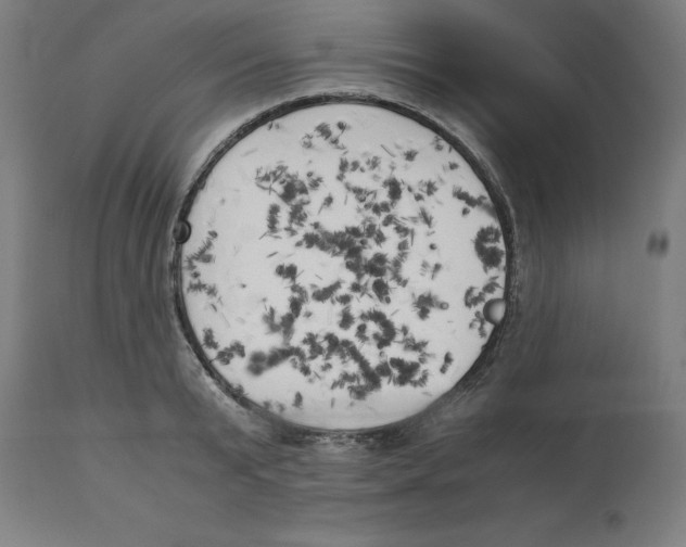 X0000111150799200907211201