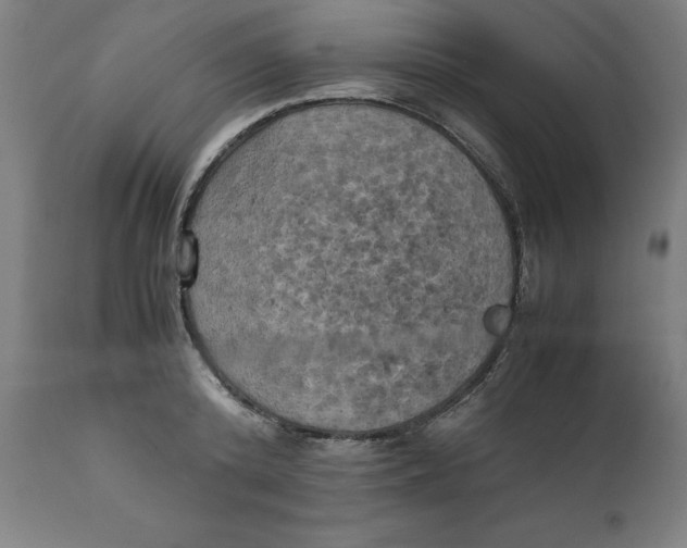 X0000111150800200907211201