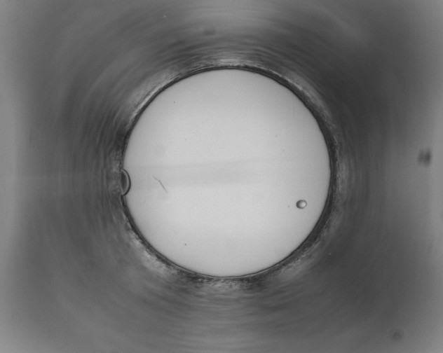 X0000111150801200907211201
