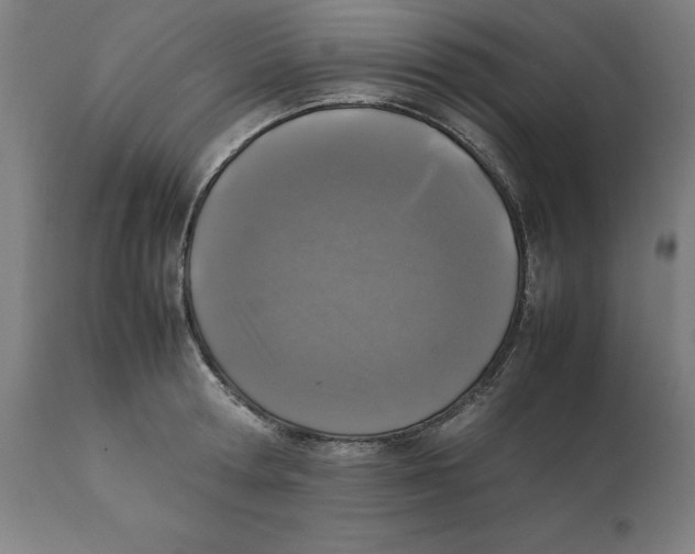 X0000111150802200907211201