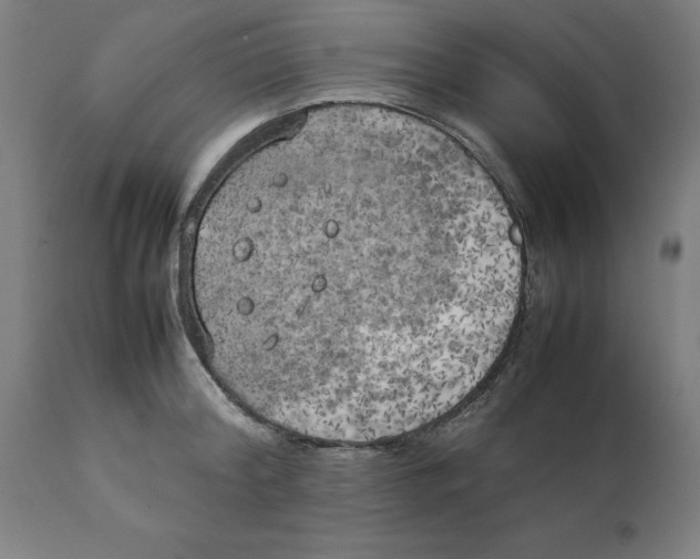 X0000111150804200907211201