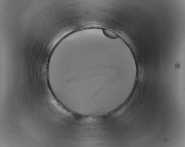 X0000111150806200907211201