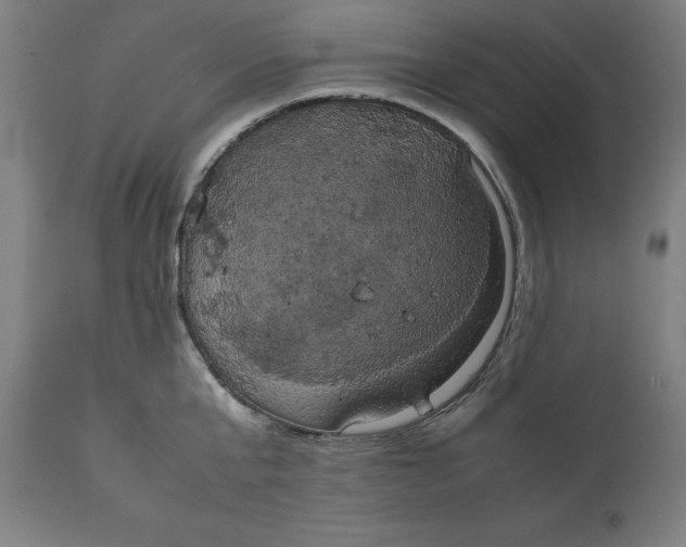 X0000111150807200907211201