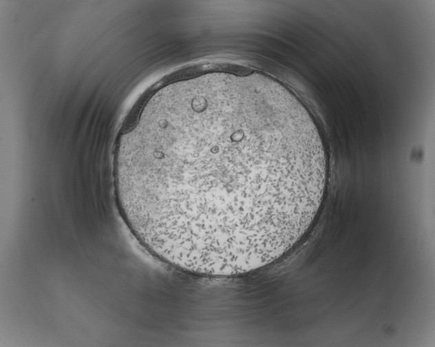 X0000111150808200907211201