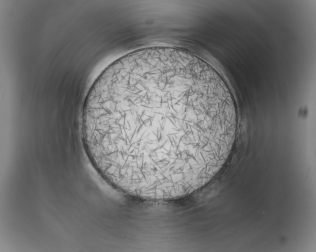 X0000111150811200907211201