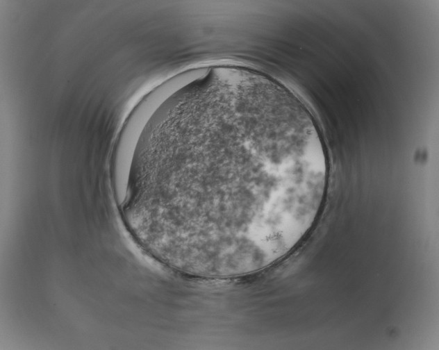X0000111150813200907211201