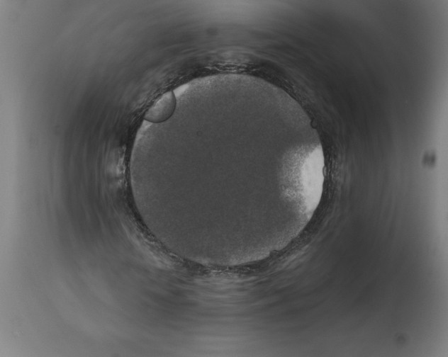 X0000111150818200907211201