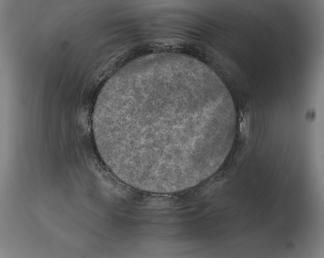 X0000111150819200907211201