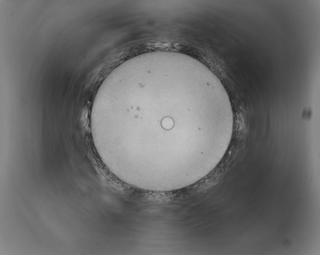 X0000111150820200907211201