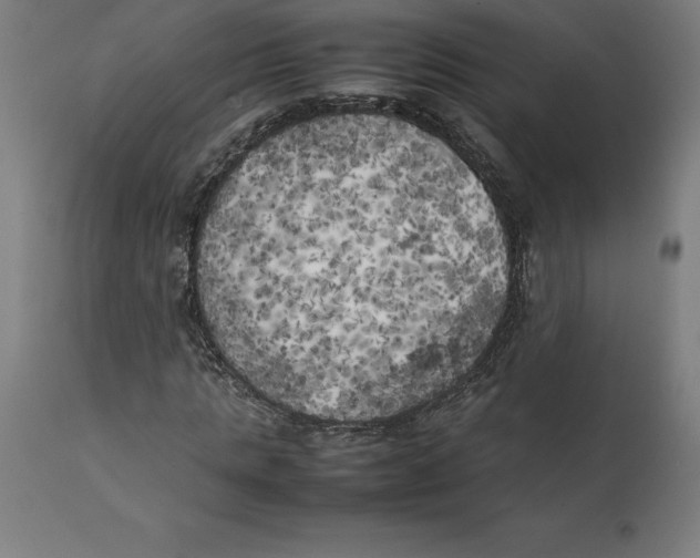 X0000111150821200907211201