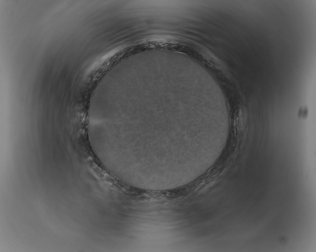 X0000111150822200907211201