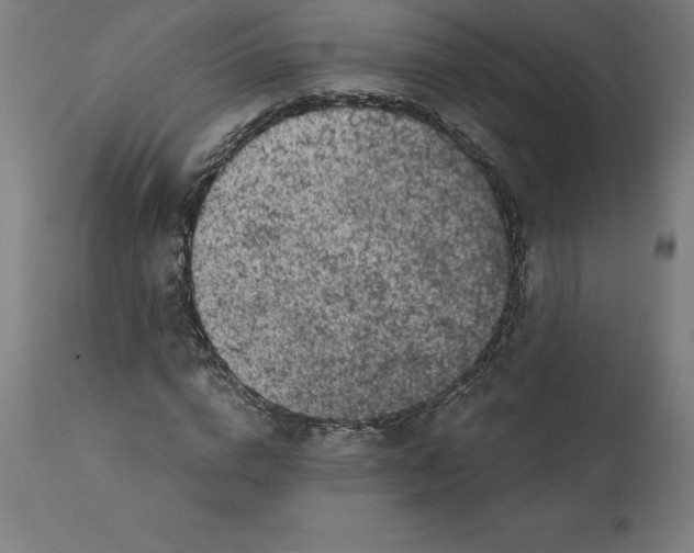 X0000111150824200907211201