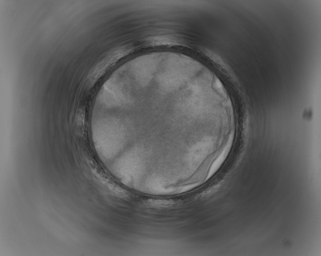 X0000111150825200907211201