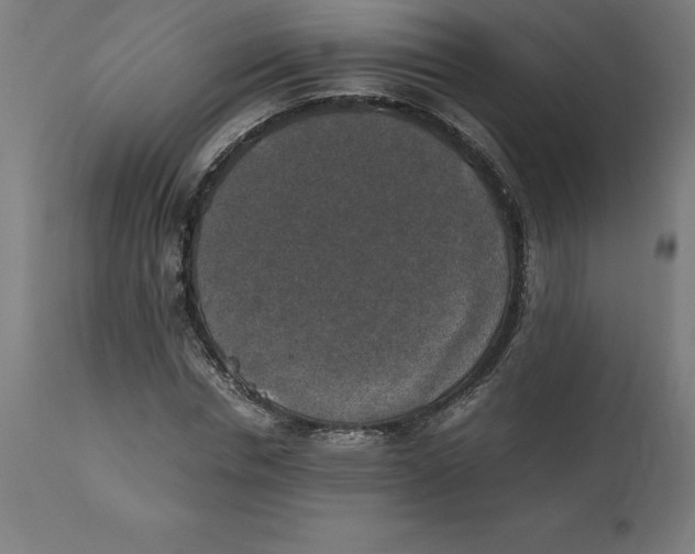 X0000111150826200907211201