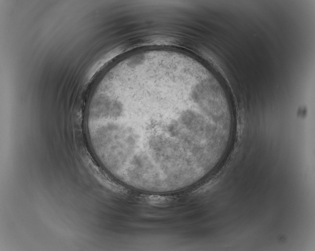 X0000111150827200907211201