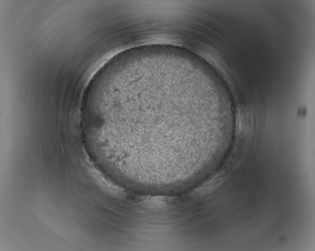 X0000111150828200907211201