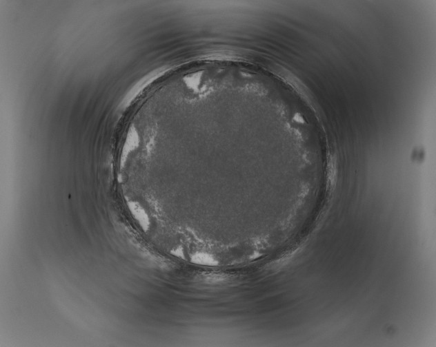 X0000111150829200907211201