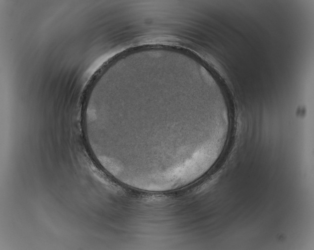 X0000111150830200907211201