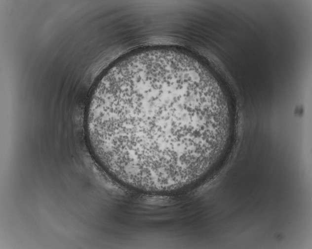 X0000111150833200907211201