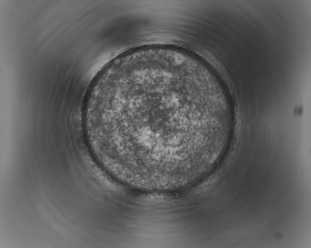 X0000111150834200907211201