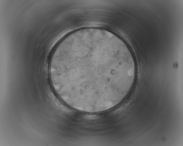 X0000111150835200907211201