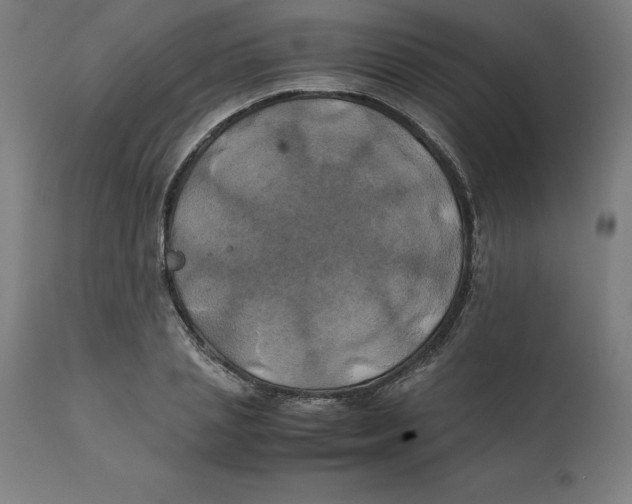 X0000111150837200907211201