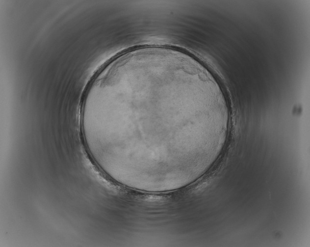 X0000111150839200907211201