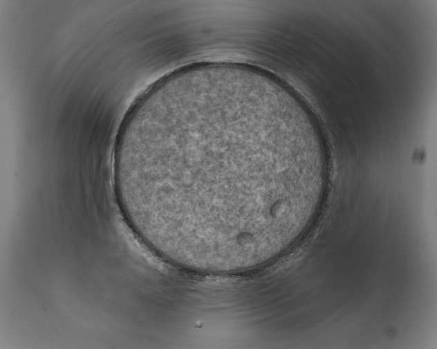 X0000111150840200907211201