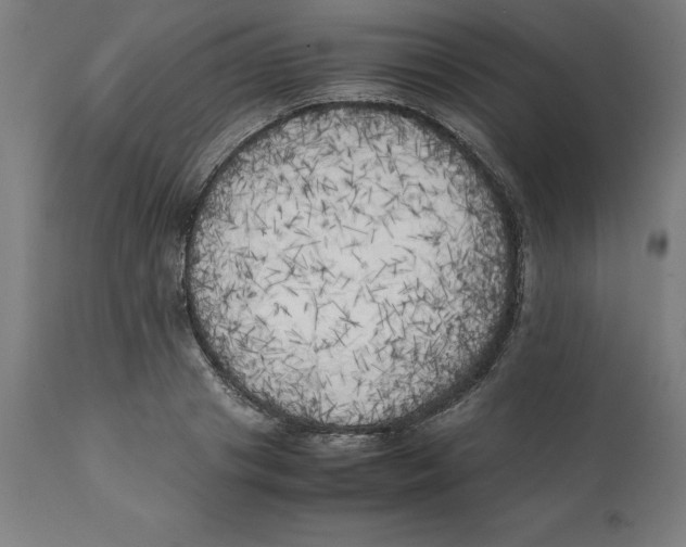 X0000111150841200907211201