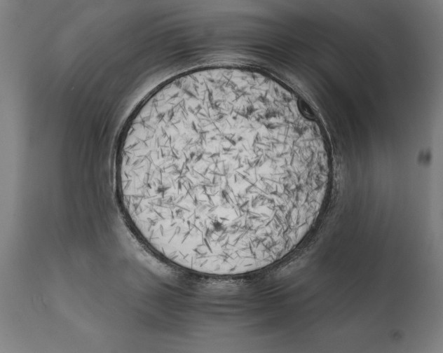 X0000111150843200907211201