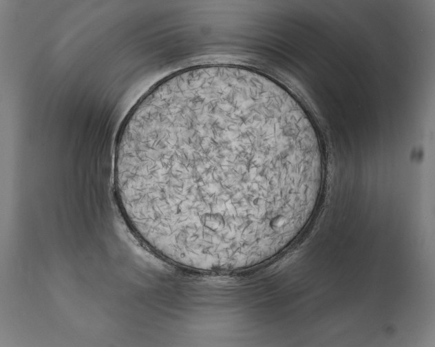 X0000111150844200907211201