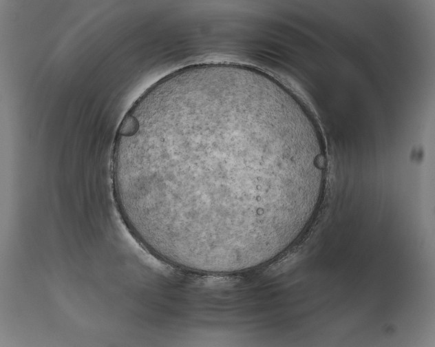 X0000111150847200907211201